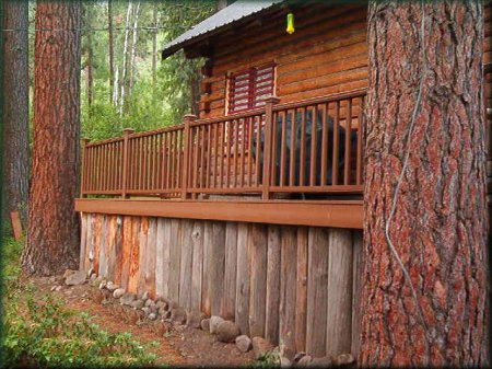 Visit Timber Quest, "The Gateway to your dreams"